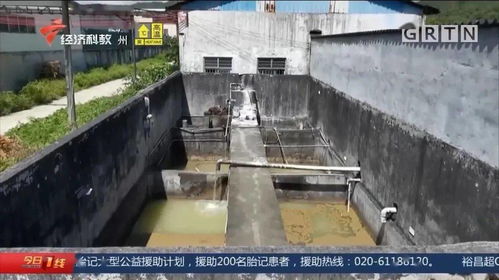 污水泄漏引生态之殇 从饶平食品厂事件看基础地质勘查的缺失